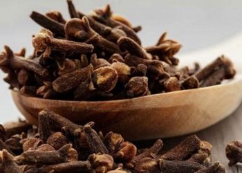 Гвоздика присмачить і гриби, й пироги