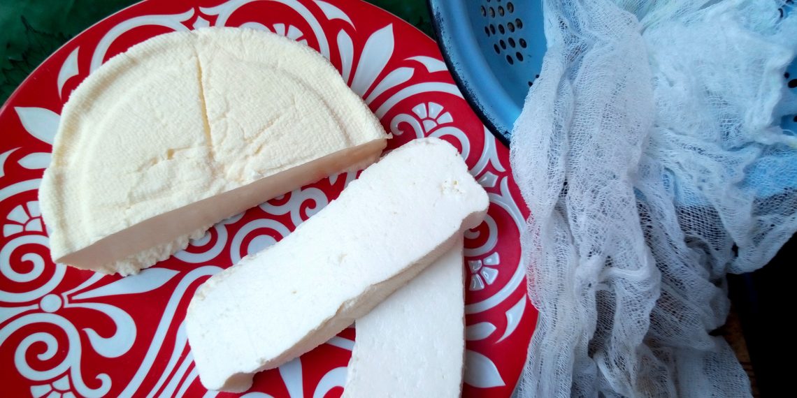 Домашній сир — як адигейський