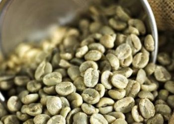 Чи можна схуднути, вживаючи зелену каву?