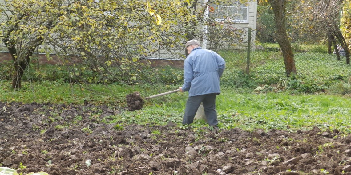Осіннє перекопування городу