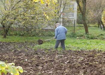 Осіннє перекопування городу