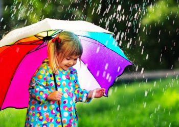 11 правил по догляду за парасолькою