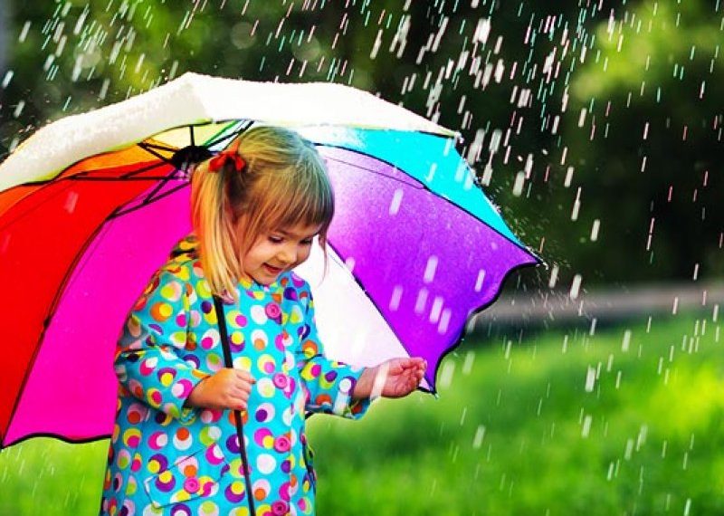 11 правил по догляду за парасолькою