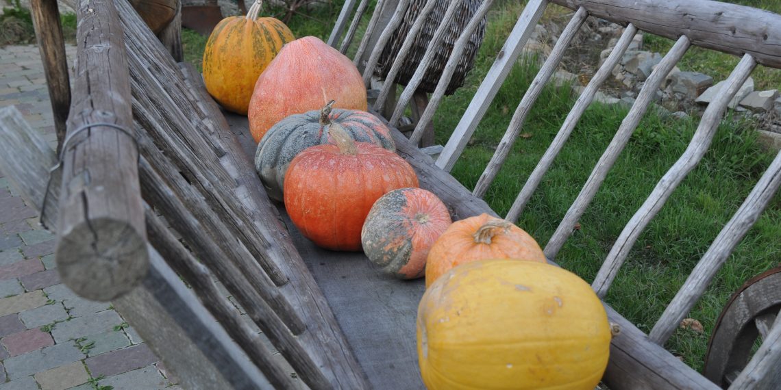 8 способів тривалого зберігання гарбузів