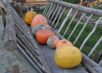 8 способів тривалого зберігання гарбузів