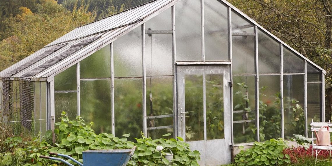 Генеральне прибирання теплиці