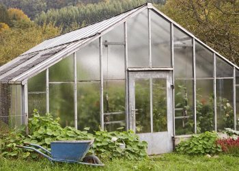 Генеральне прибирання теплиці