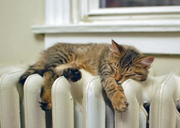 Відключитися від центрального опалення