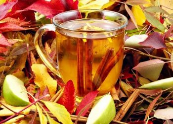 Яблучний чай