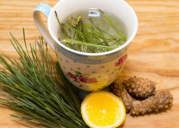 Ялиновий чай від інсульту