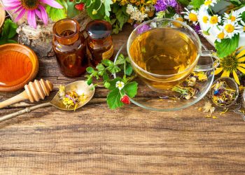 Швидке лікування бронхіту та ларингіту фітопрепаратами