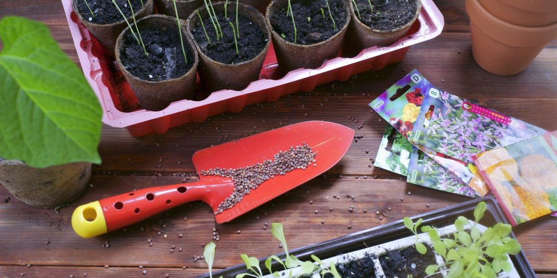 Скільки років насіння придатне до висіву?