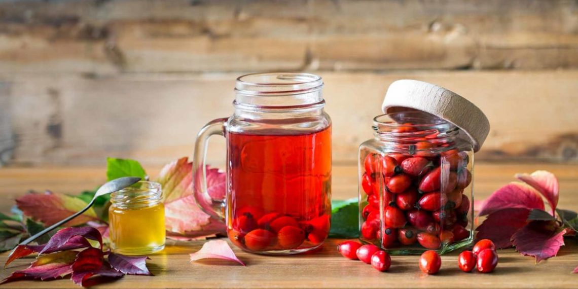 Заварюємо шипшину правильно