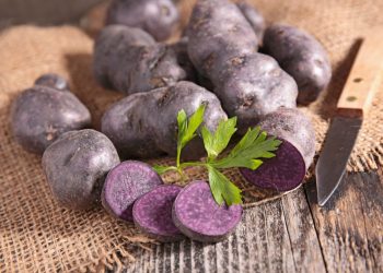 Фіолетова картопля