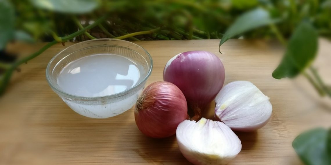 Цибулева маска проти випадіння волосся