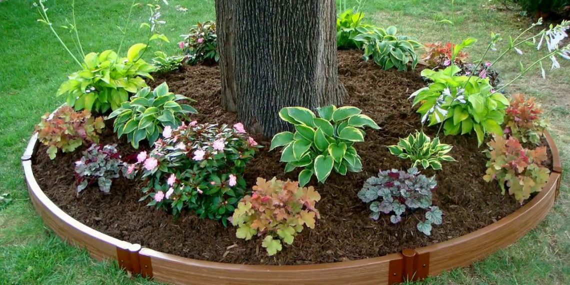 Подбайте про пристовбурні круги