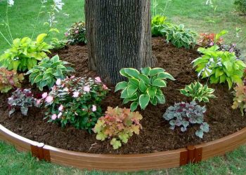 Подбайте про пристовбурні круги