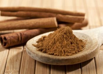 Живці укорінить… кориця