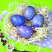 Натуральний барвник — яскравий і просто чарівний