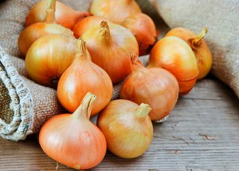 Цибулиння зміцнить волосся