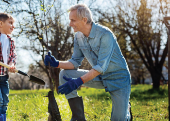 Що будемо сіяти, садити, або як господарювати під час карантину
