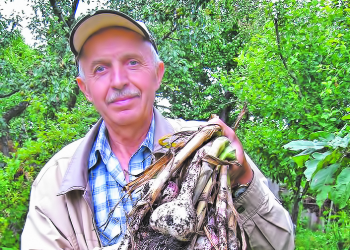 Часник — профілактика, а не ліки від коронавірусу