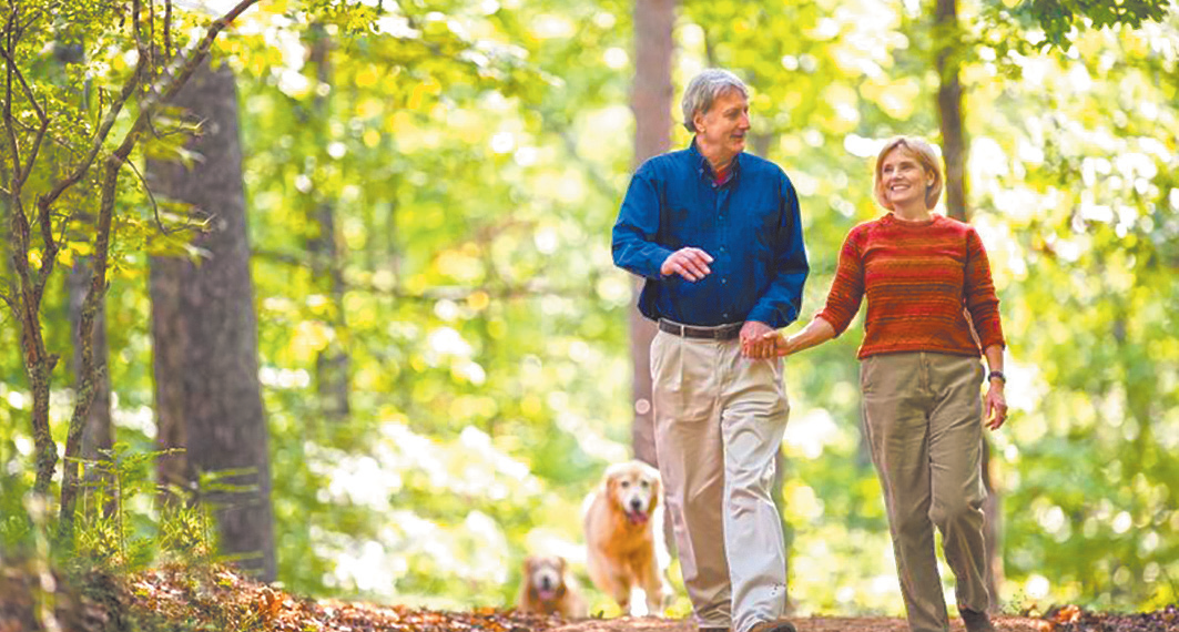 Кліщі знову атакують: що робити?