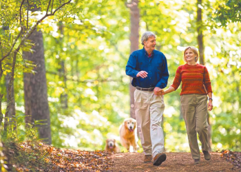 Кліщі знову атакують: що робити?