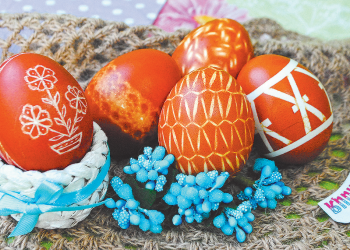 Барвник один, а візерунки різні