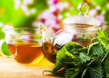 Фіточай із кропиви позбавить від каменів у жовчному міхурі