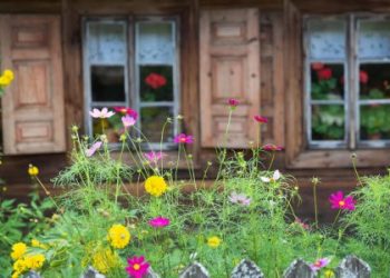 Квіти з фронтових листів