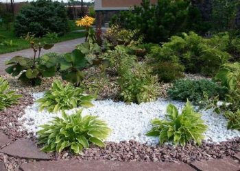 Декоративна відсипка у квітнику