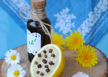 Відлякати комарів допоможуть гвоздика, полин і листя томатів