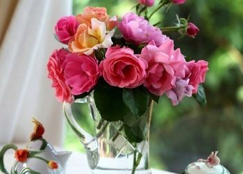 Як зберегти букет свіжим надовго: 8 порад