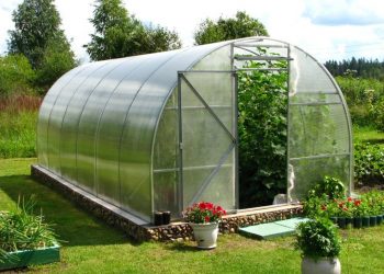 Як позбутися конденсату в теплиці