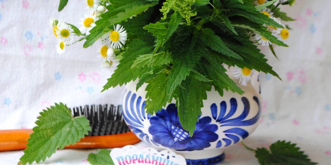 То не чудо і не диво, а звичайная кропива