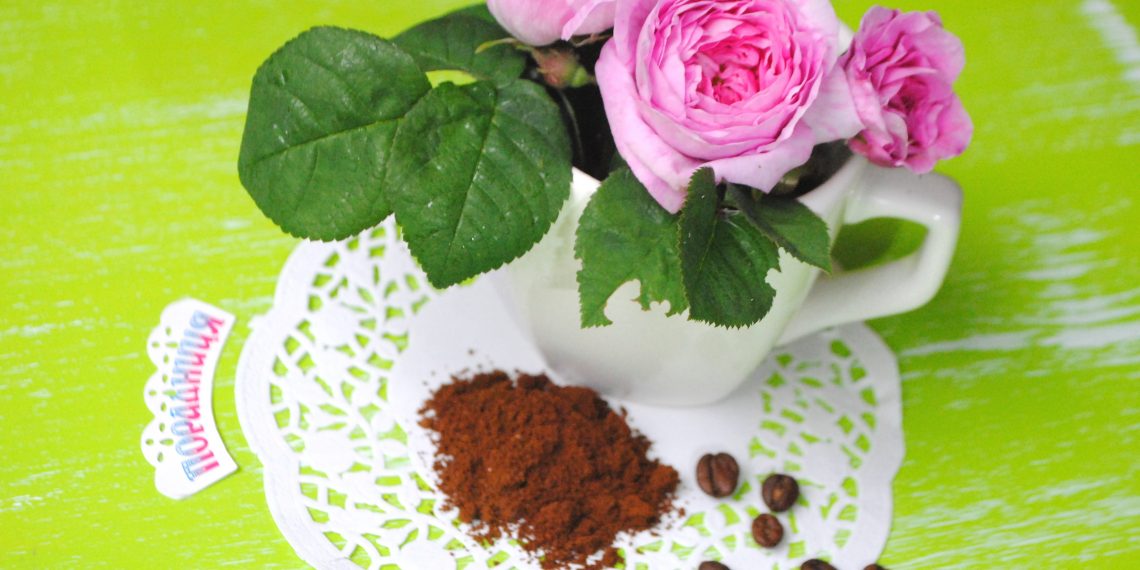 Кавова гуща: добриво, косметика й ароматизатор