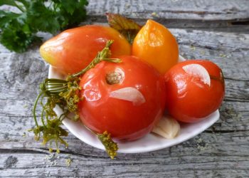 Малосольні помідори в пакеті