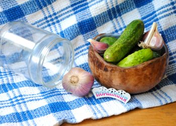 Огірочки аж дзвенять!