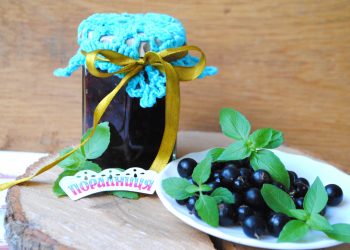 Потрійний аромат: смородина з м’ятою і базиліком