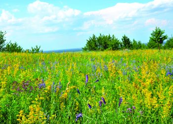 Трахтемирів: природна велич сакрального півострова