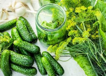 Пора хрумтіти огірочками!