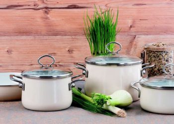 Домашній антижир