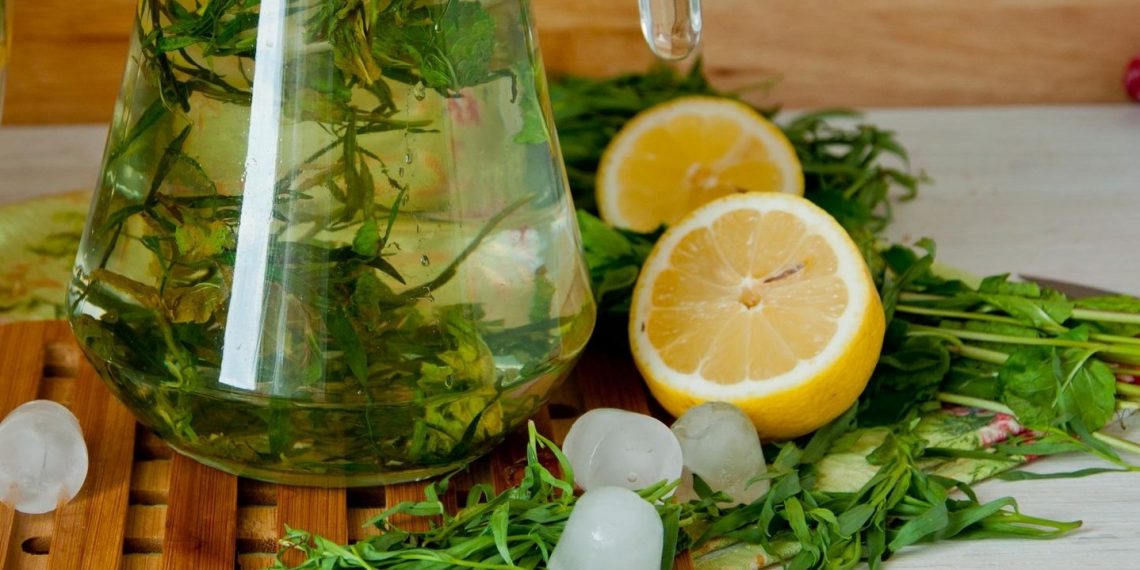 Тархун не лише освіжає, а й молодість повертає