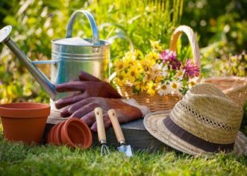 Гумовим рукавичкам — особлива увага