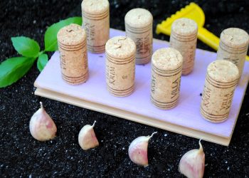 Помічник для посадки часнику