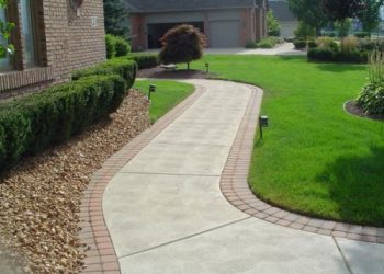 Як видалити бур’яни між плитами