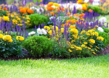 Скоро саджатимемо цибулинні