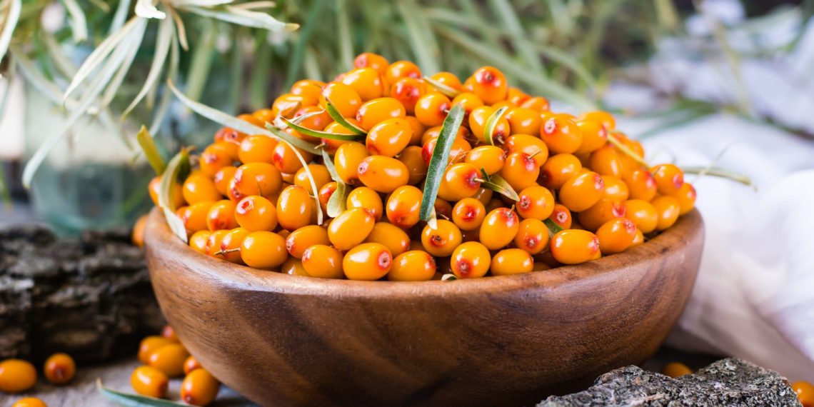 Обліпиху краще заморозити