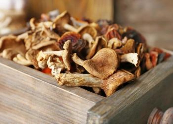 Гриби сушу в печі